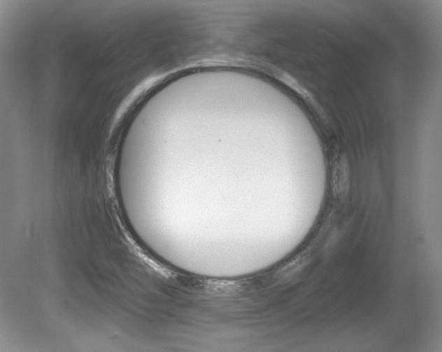 X0000080141454200612081014