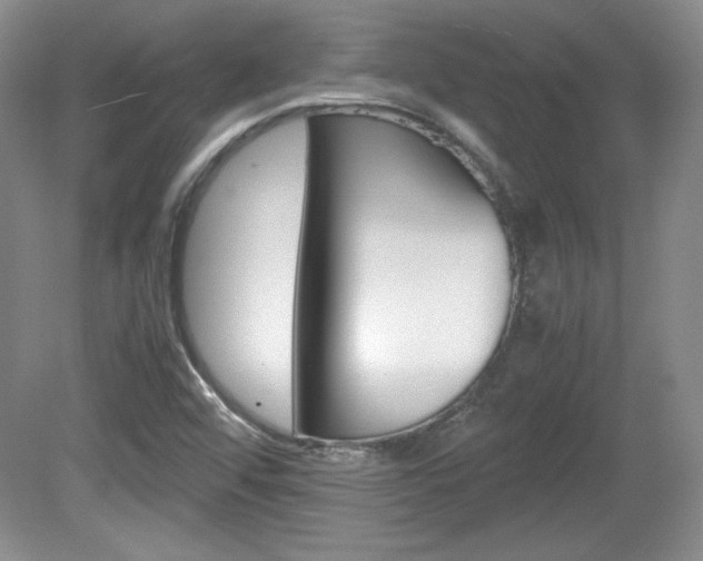 X0000080141456200612081014