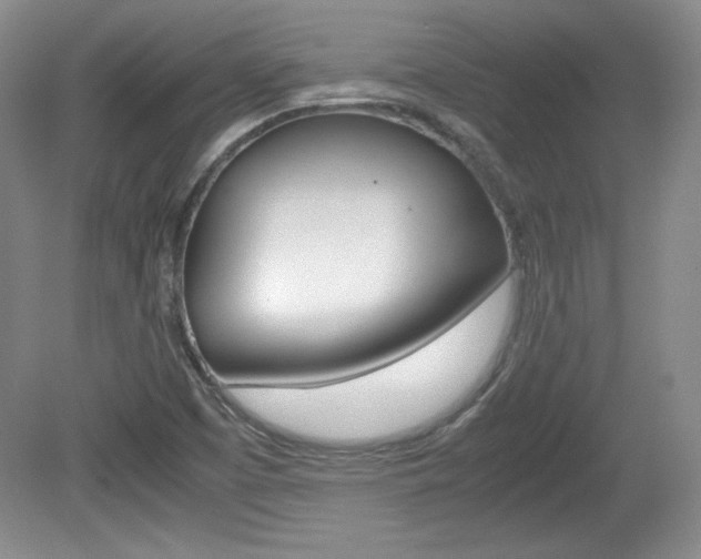 X0000080141457200612081014