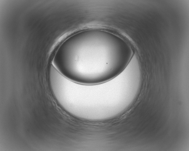 X0000080141461200612081014