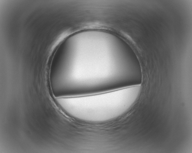 X0000080141463200612081014