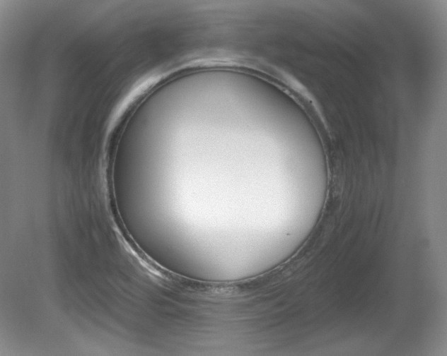X0000080141464200612081014