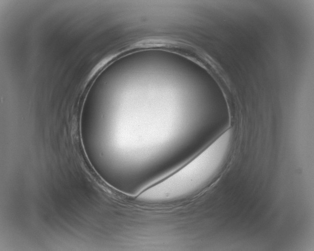X0000080141465200612081014