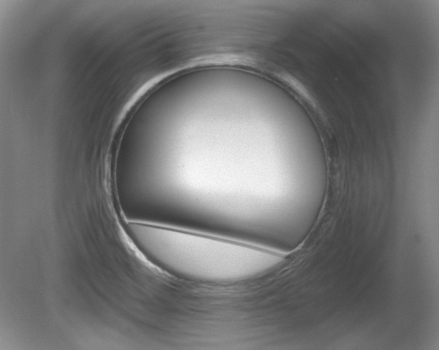 X0000080141468200612081014