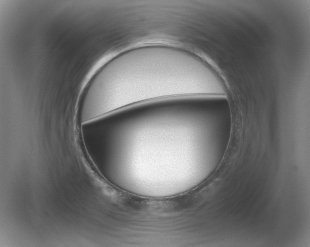 X0000080141469200612081014