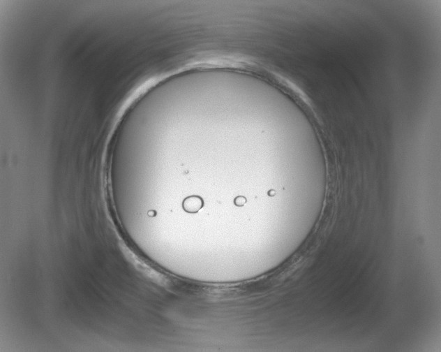 X0000080141471200612081014