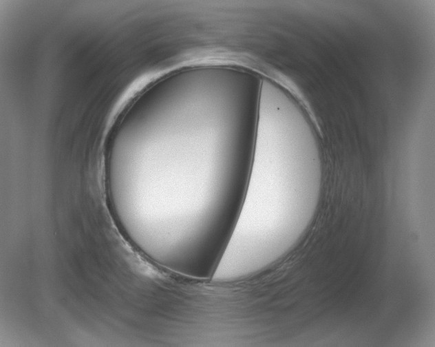 X0000080141472200612081013