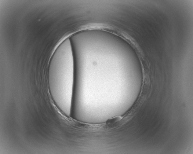 X0000080141473200612081013