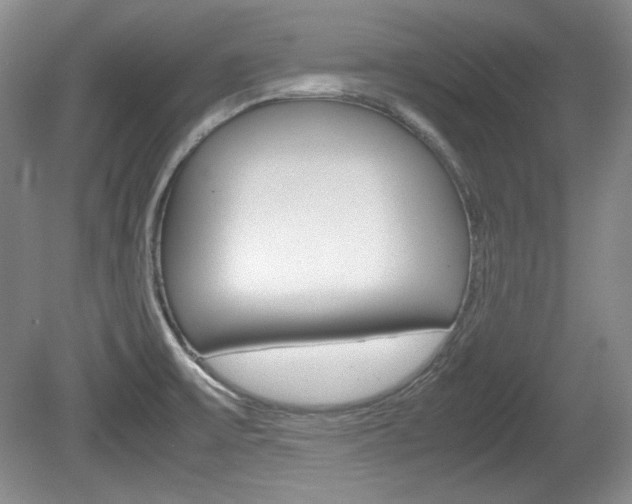 X0000080141475200612081013