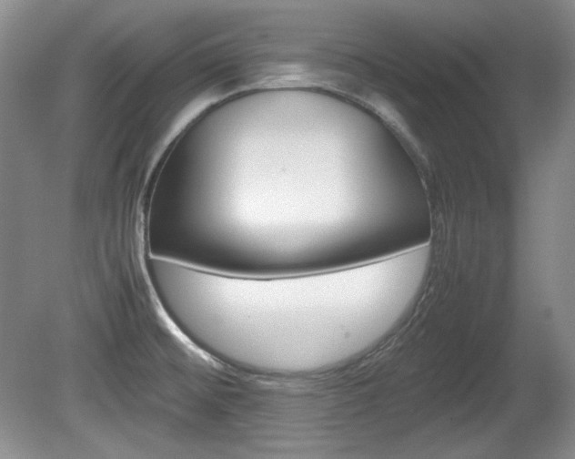 X0000080141476200612081013