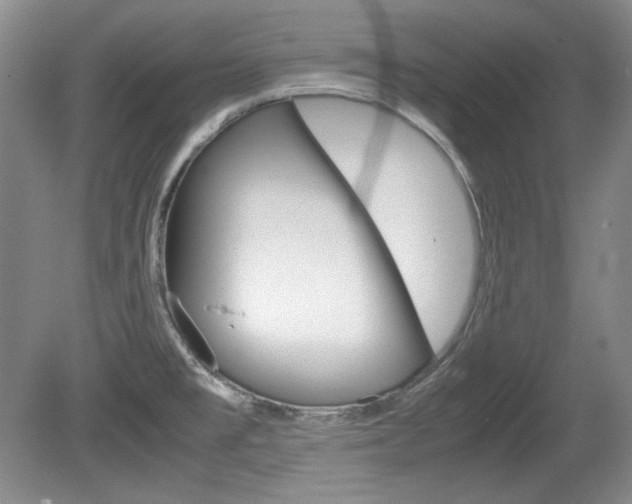 X0000080141477200612081013