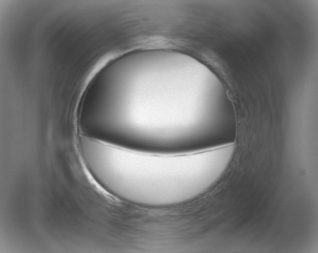 X0000080141479200612081013