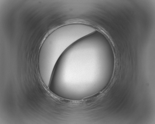 X0000080141481200612081013