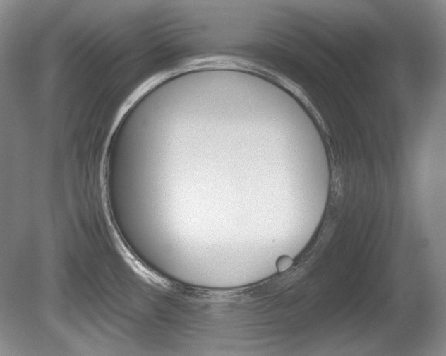 X0000080141482200612081013