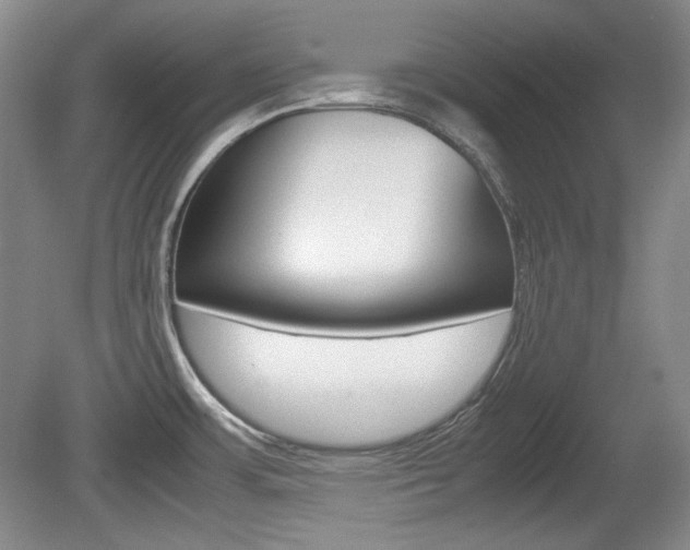 X0000080141483200612081013