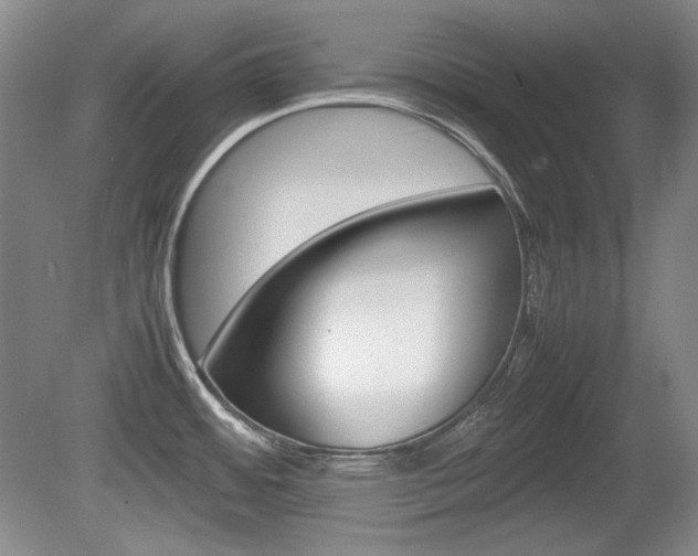 X0000080141484200612081013