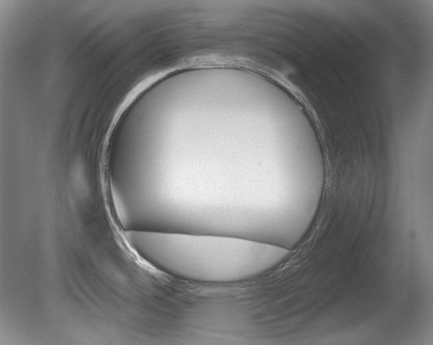 X0000080141486200612081013