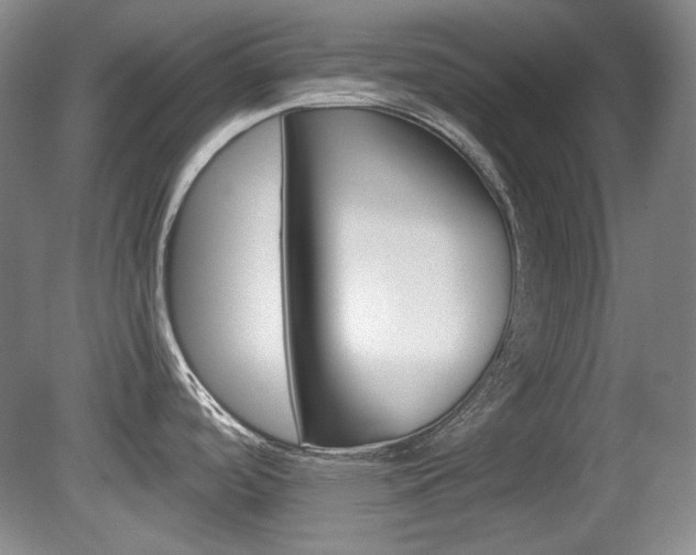 X0000080141488200612081013