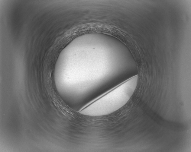 X0000080141489200612081012