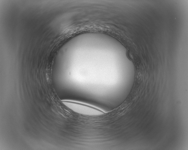 X0000080141490200612081012