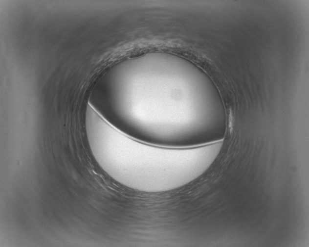 X0000080141492200612081012