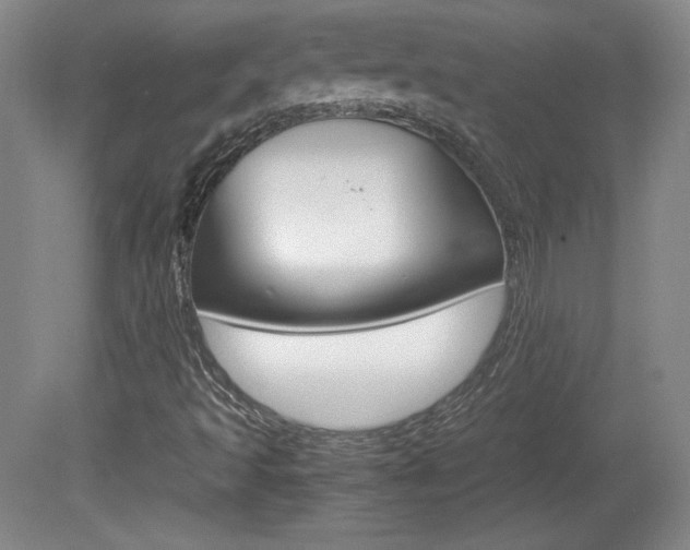 X0000080141493200612081012
