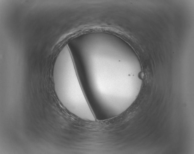 X0000080141494200612081013