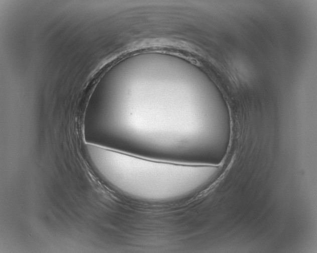 X0000080141497200612081013