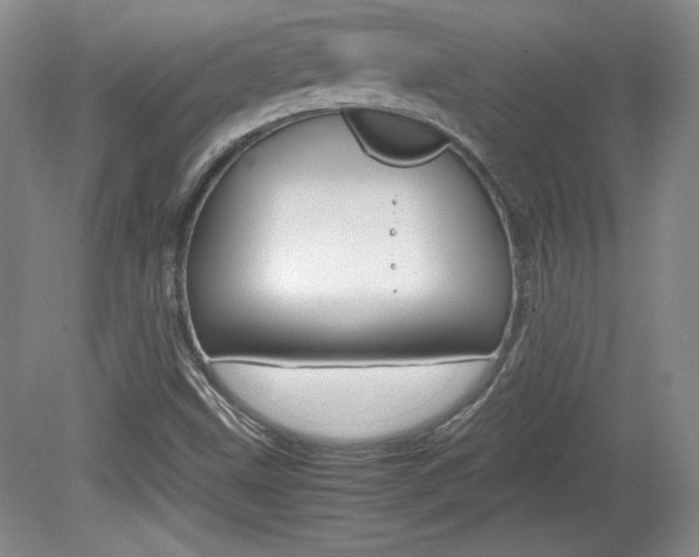 X0000080141499200612081013
