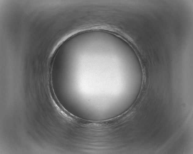 X0000080141500200612081013