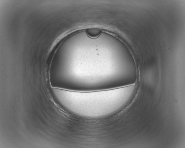 X0000080141501200612081013