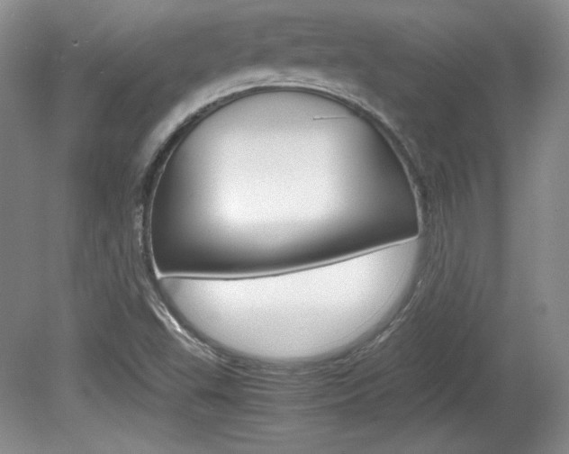 X0000080141503200612081013