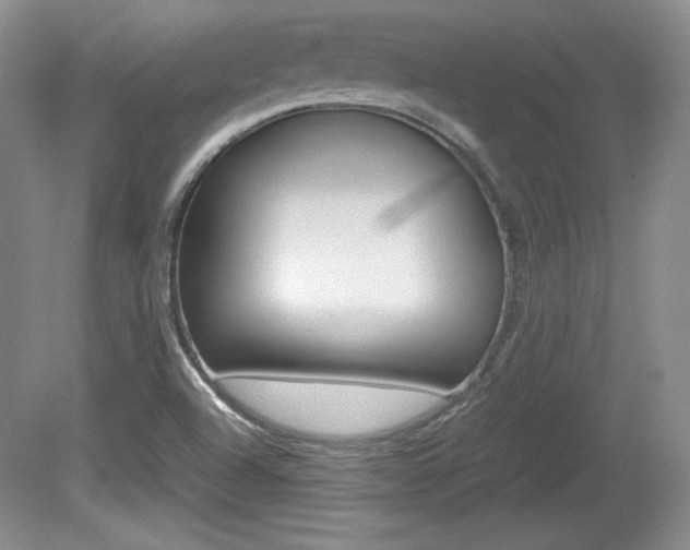 X0000080141504200612081013