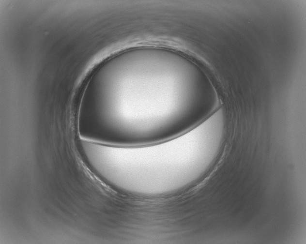 X0000080141506200612081013