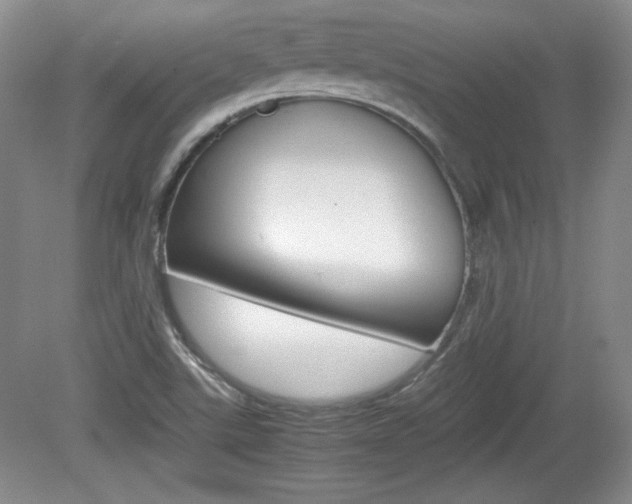 X0000080141507200612081013