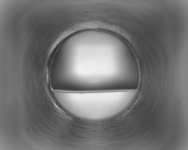 X0000080141509200612081013