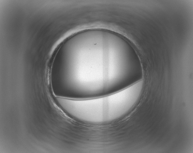 X0000080141510200612081013