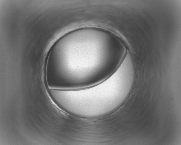 X0000080141512200612081013