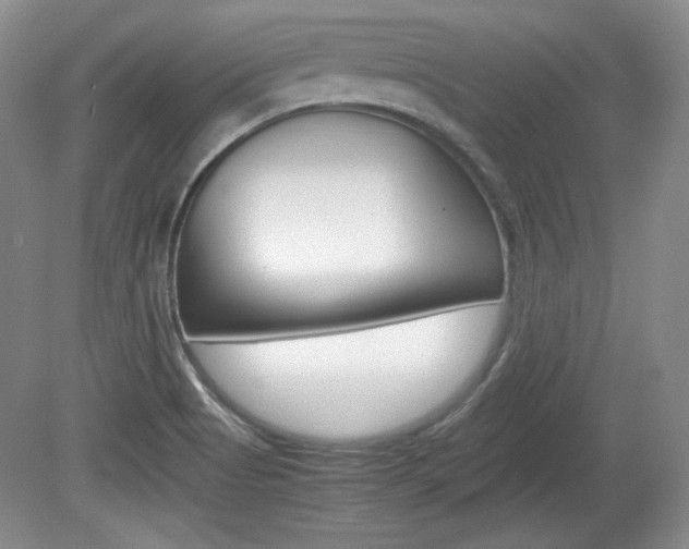 X0000080141513200612081013