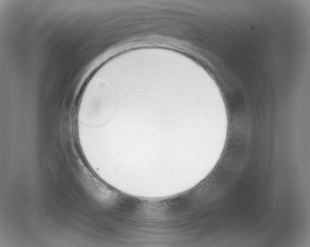 X0000080141514200612081013