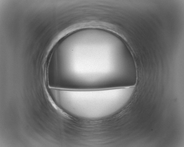 X0000080141515200612081013