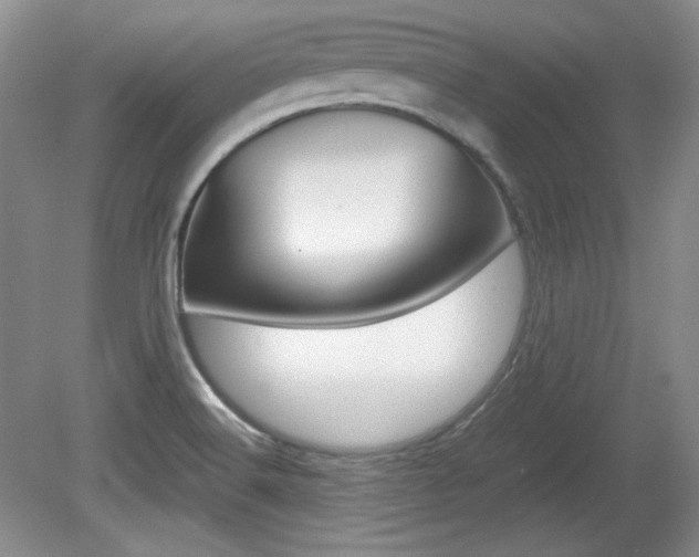X0000080141516200612081013