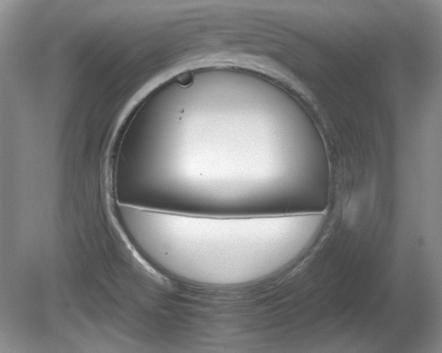 X0000080141517200612081013
