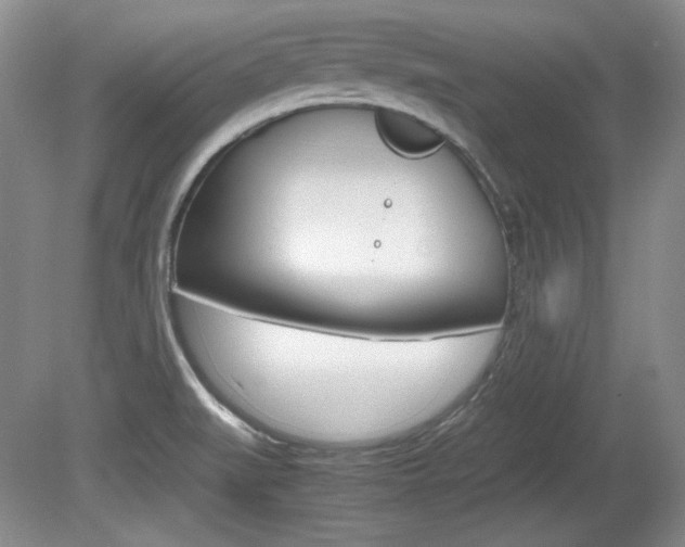 X0000080141519200612081013