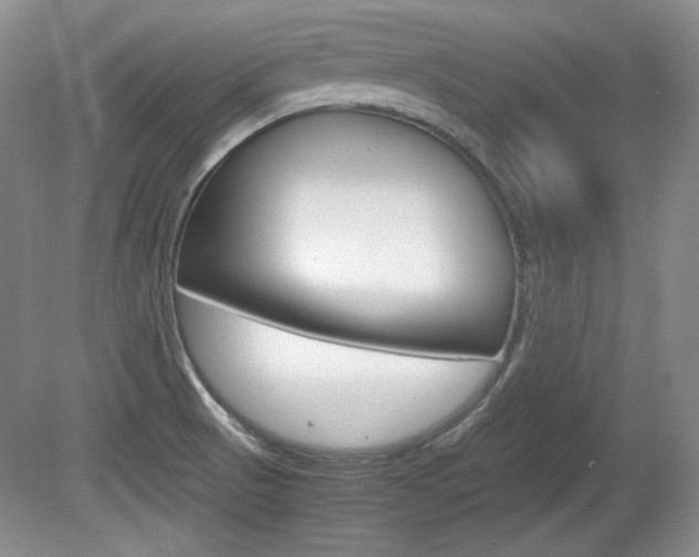 X0000080141521200612081013