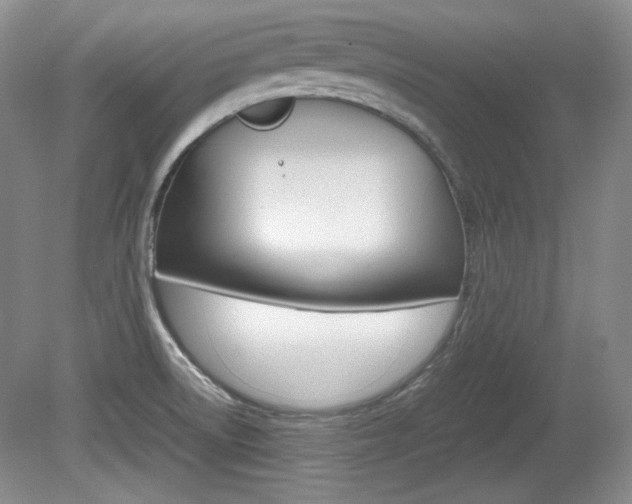 X0000080141522200612081013