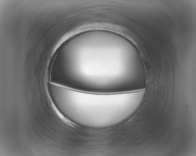 X0000080141523200612081013