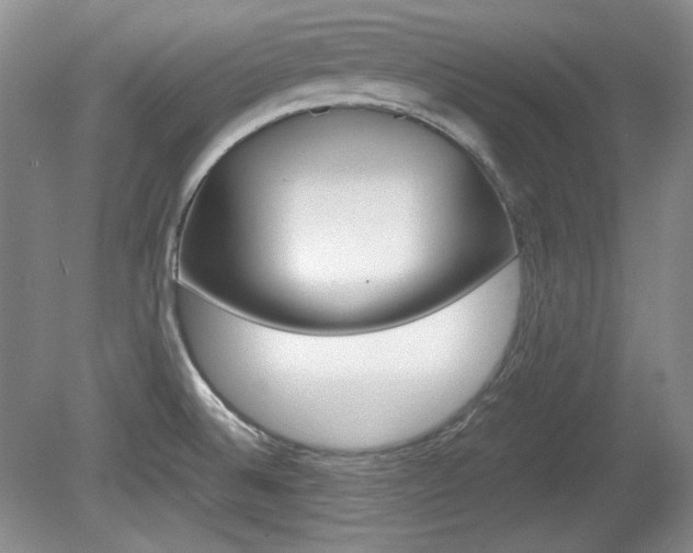 X0000080141524200612081013
