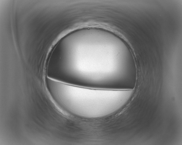 X0000080141525200612081013