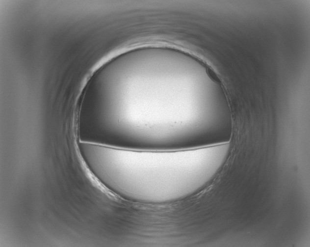 X0000080141526200612081013